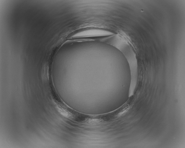 X0000071330205200607071641