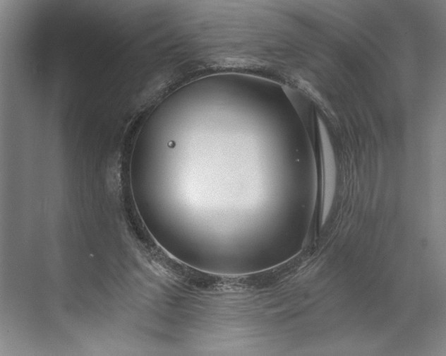 X0000071330207200607071641