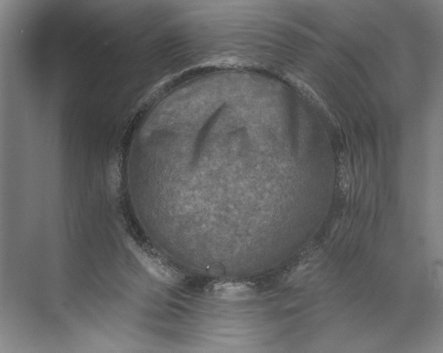 X0000071330208200607071641