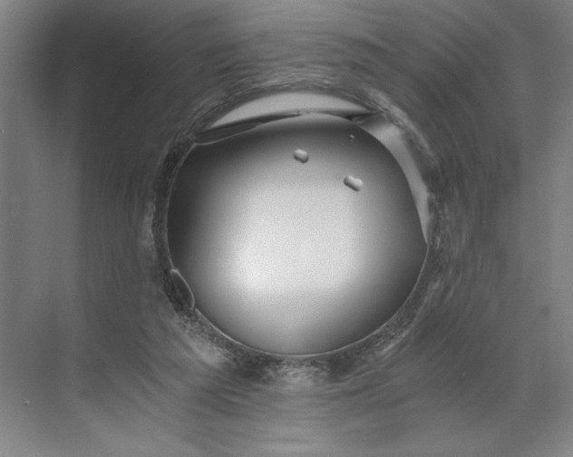 X0000071330209200607071641