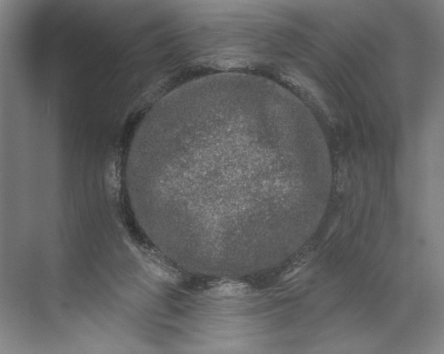 X0000071330210200607071641