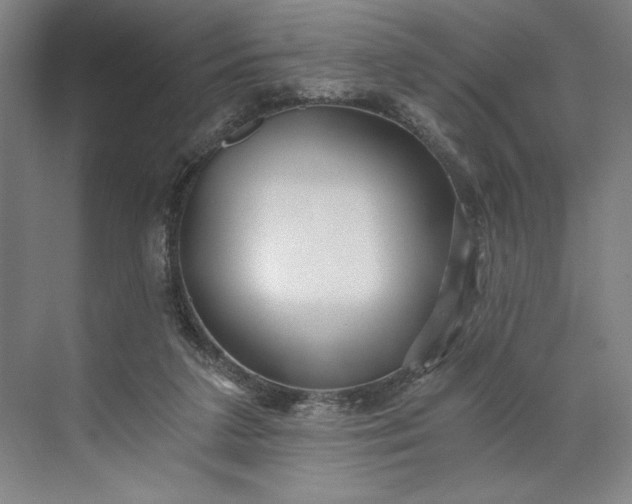 X0000071330211200607071641