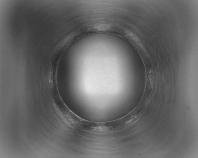 X0000071330212200607071641