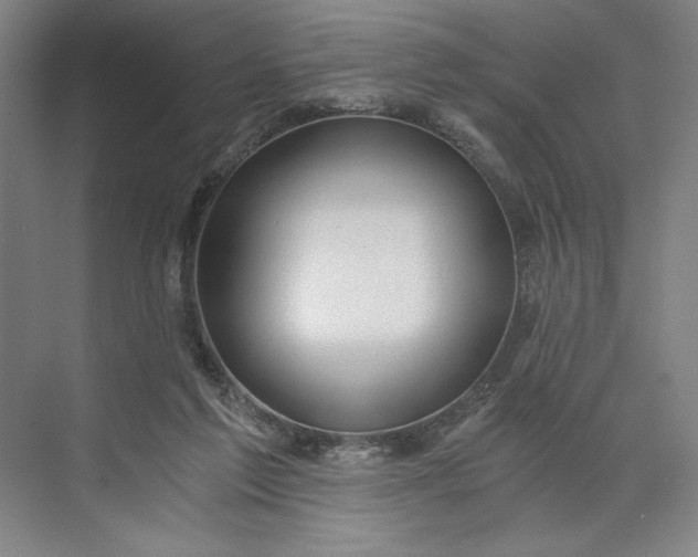 X0000071330213200607071641