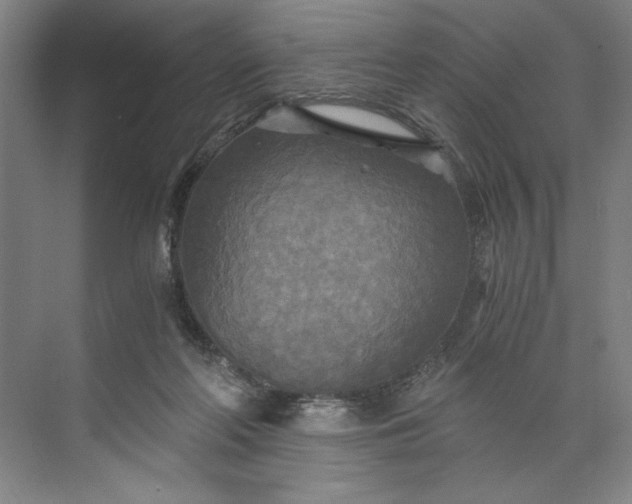 X0000071330214200607071641