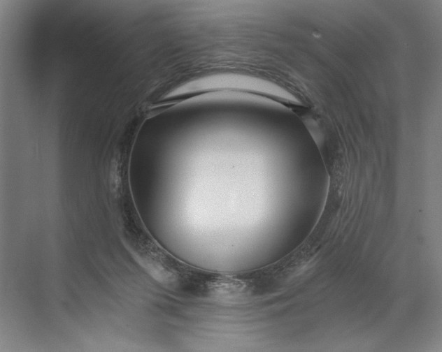 X0000071330215200607071641