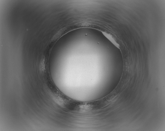 X0000071330216200607071641