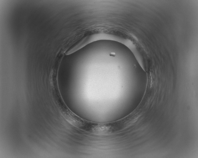 X0000071330217200607071641