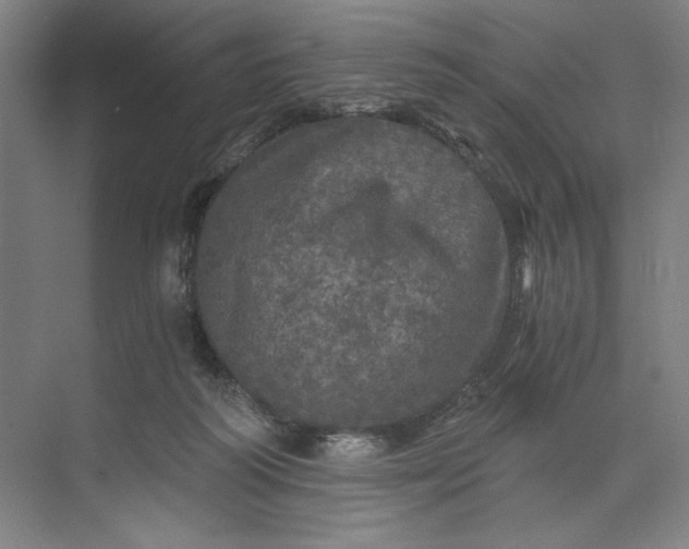 X0000071330218200607071641