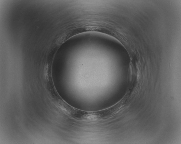 X0000071330219200607071641