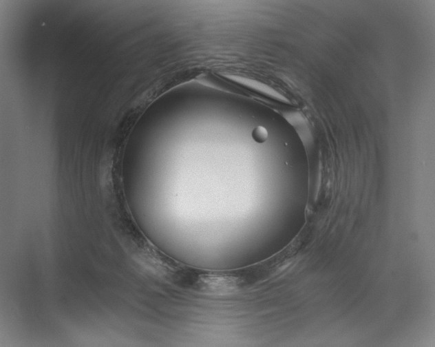 X0000071330221200607071640