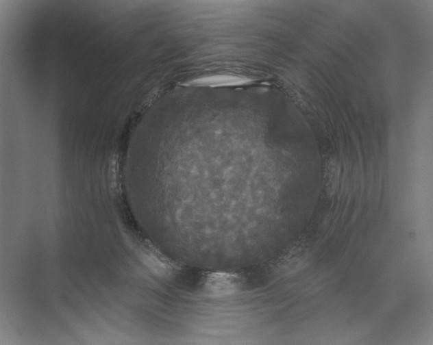 X0000071330222200607071640