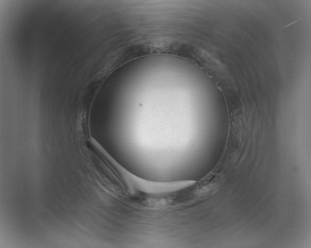 X0000071330225200607071640