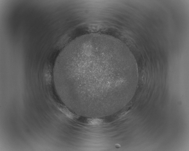 X0000071330226200607071640