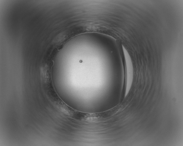 X0000071330228200607071640