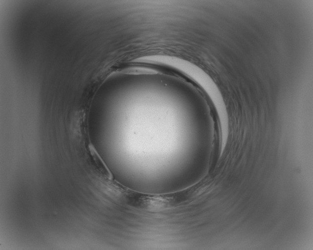 X0000071330229200607071640