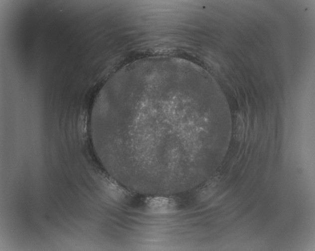 X0000071330230200607071640