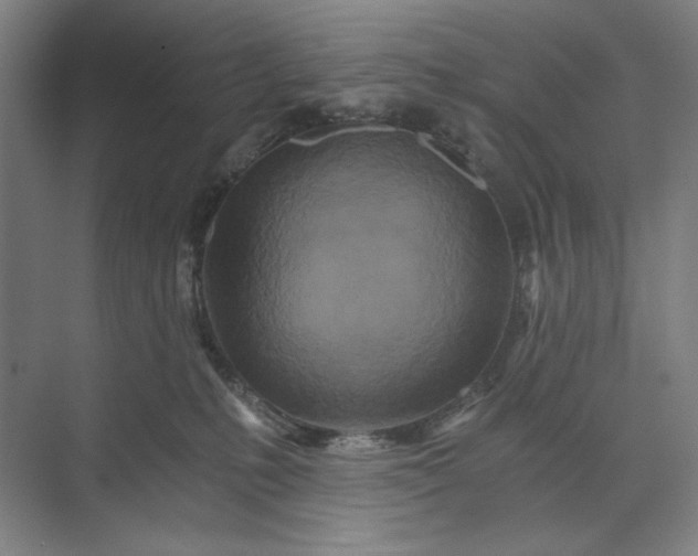 X0000071330231200607071640