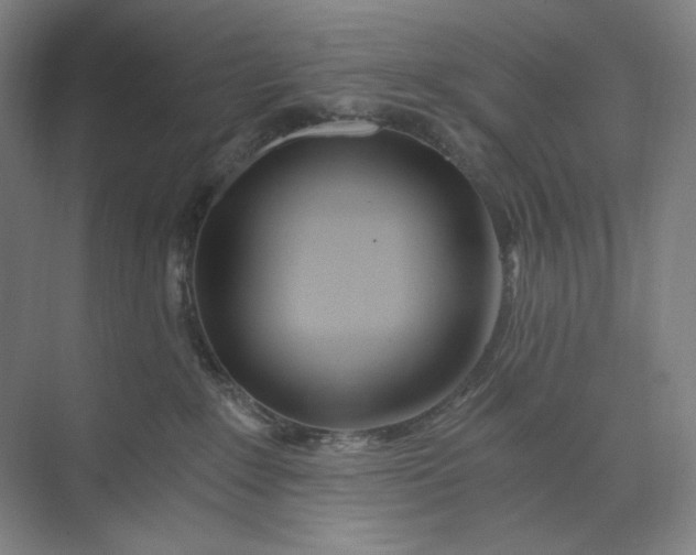 X0000071330235200607071640