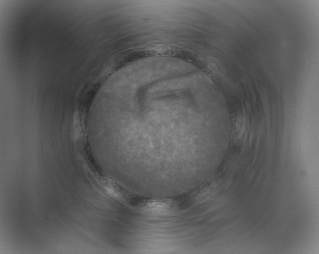 X0000071330236200607071640