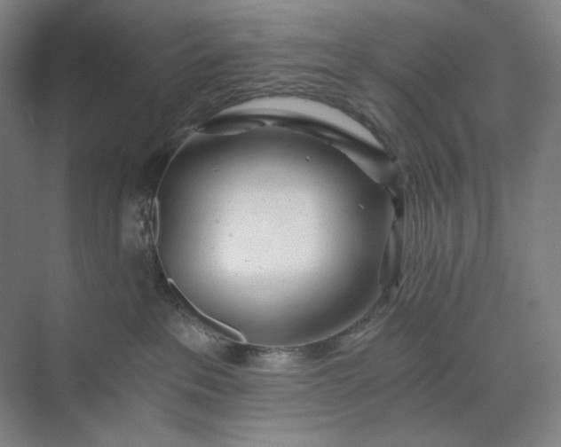 X0000071330237200607071640