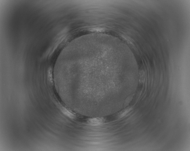 X0000071330238200607071640