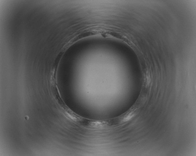 X0000071330239200607071640