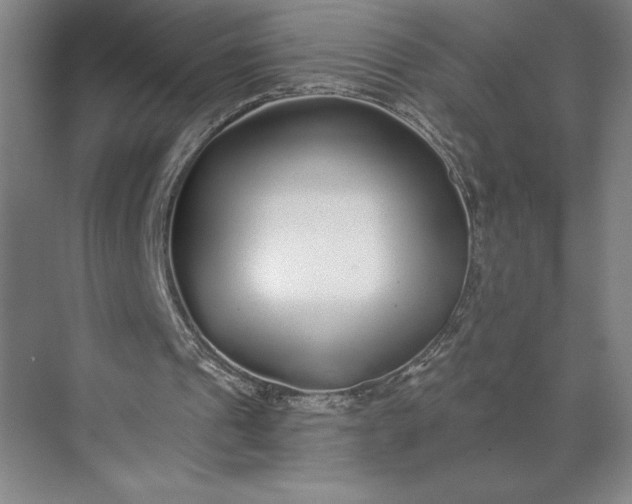 X0000071330241200607071639