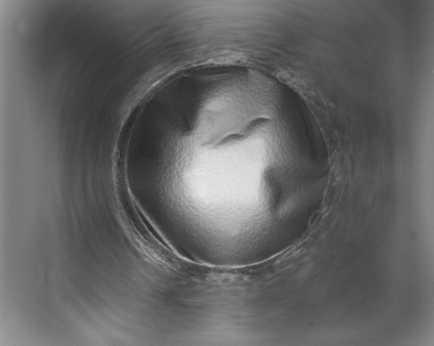 X0000071330242200607071639