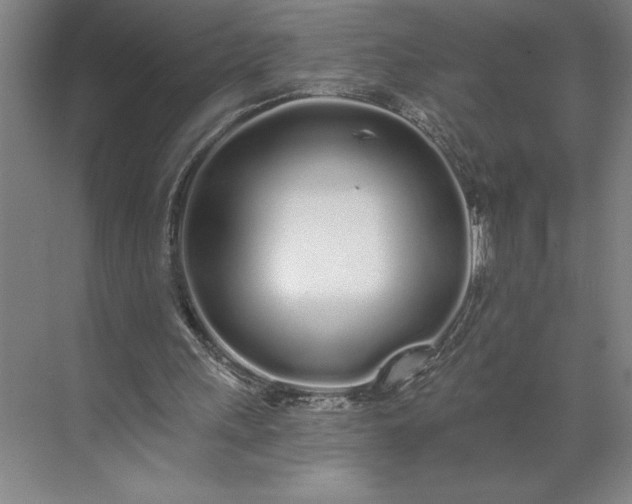 X0000071330243200607071639