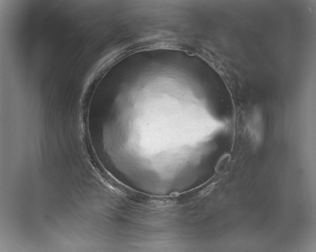 X0000071330245200607071639