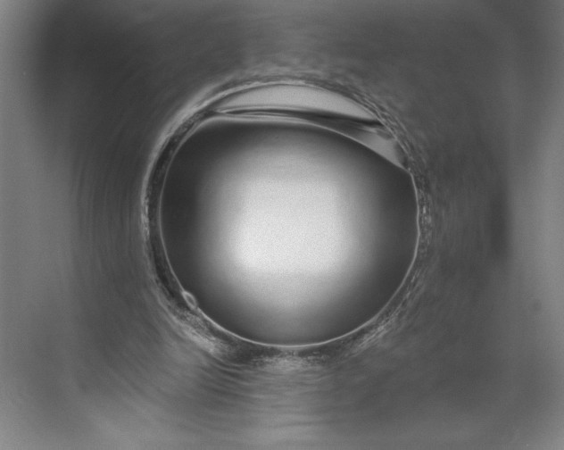 X0000071330246200607071639