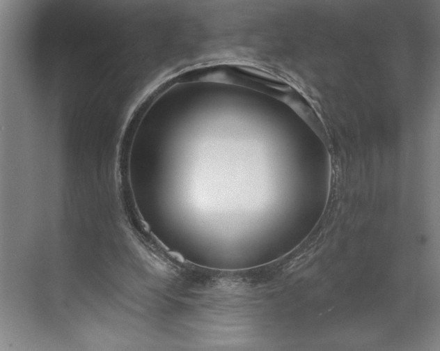 X0000071330248200607071639