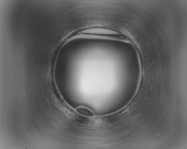 X0000071330249200607071639