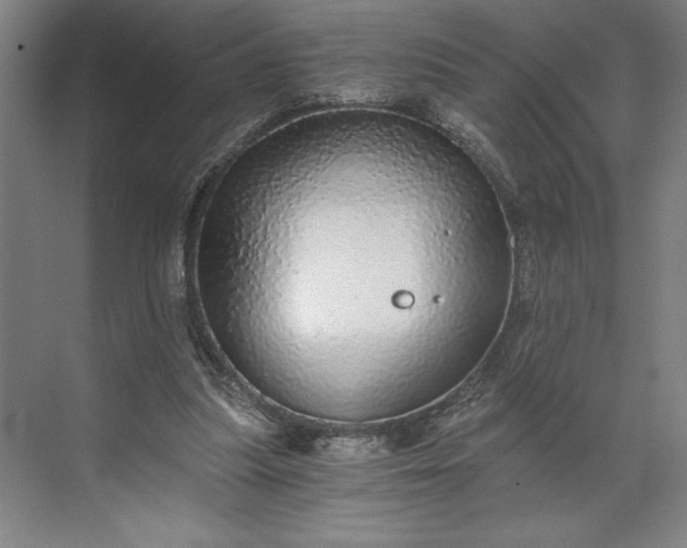 X0000071330251200607071640