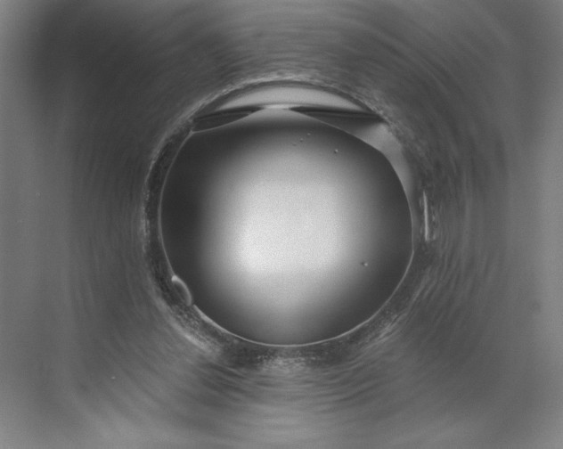 X0000071330252200607071640