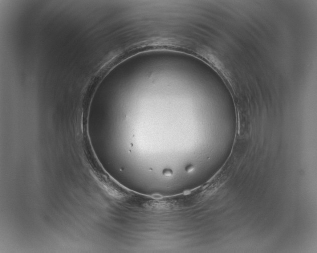 X0000071330253200607071640