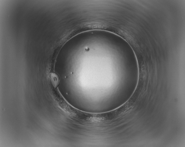 X0000071330255200607071640