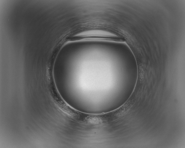 X0000071330258200607071640