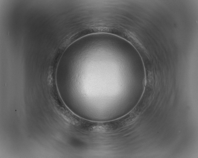 X0000071330259200607071640