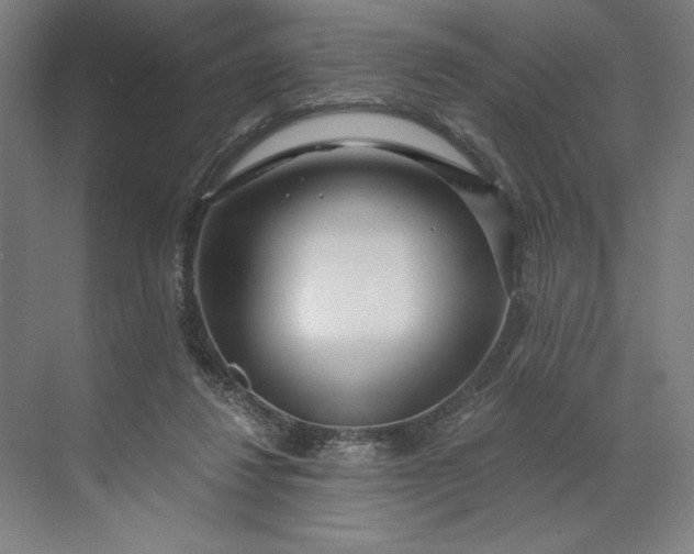 X0000071330260200607071640