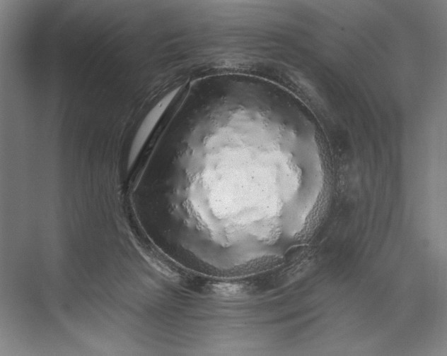 X0000071330265200607071640