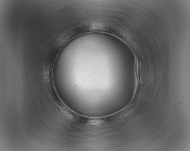 X0000071330269200607071640