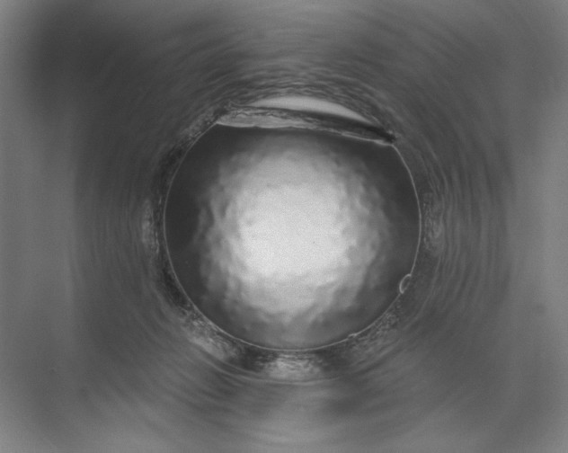 X0000071330270200607071640