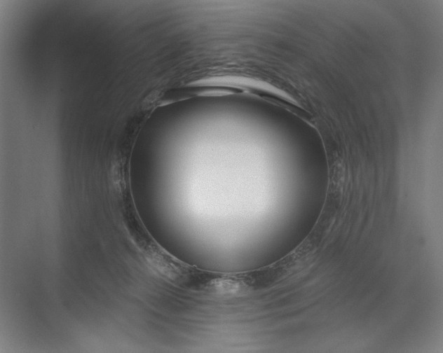 X0000071330272200607071640