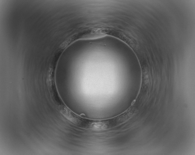 X0000071330275200607071640