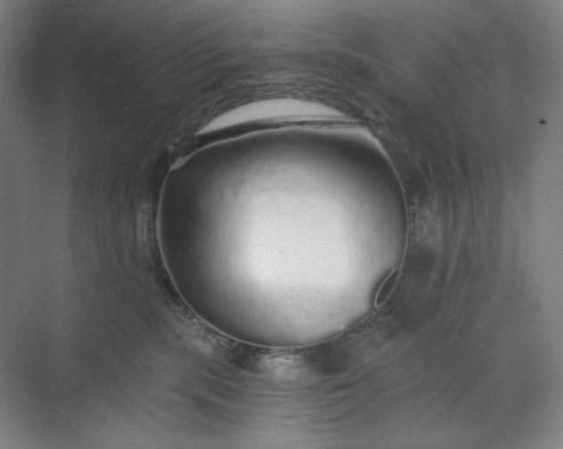 X0000071330283200607071640