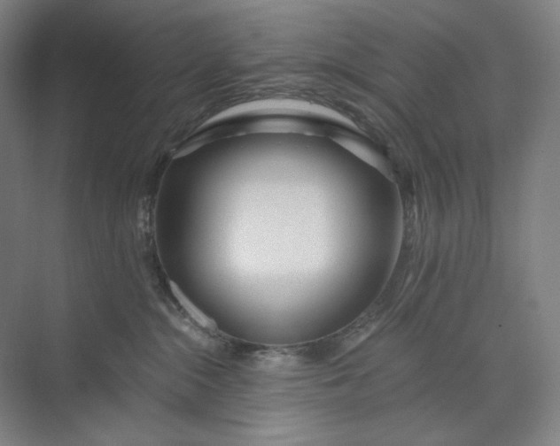 X0000071330284200607071640