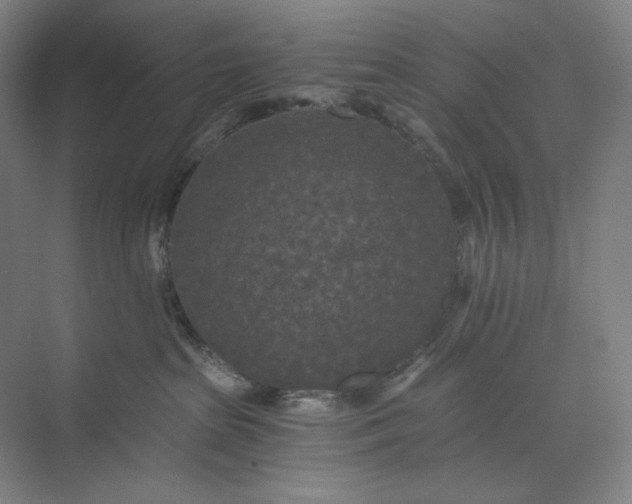 X0000071330285200607071640