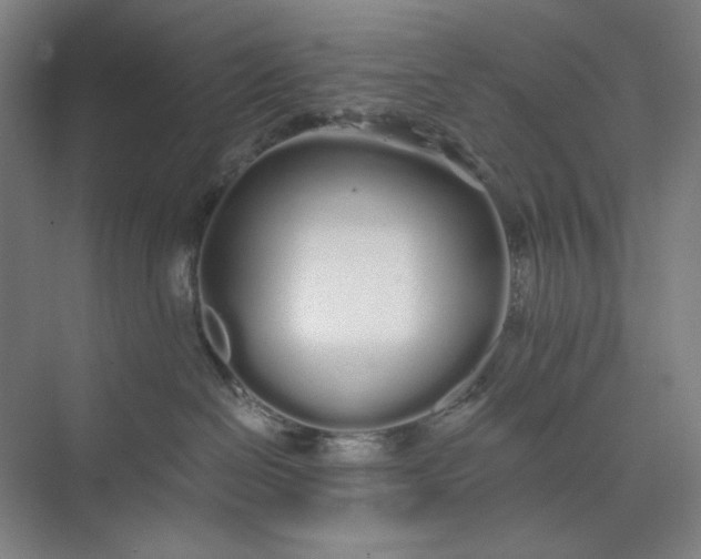 X0000071330286200607071640